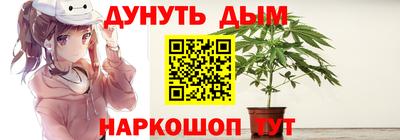 сатива Жуковский