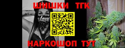 дмт Заводоуковск