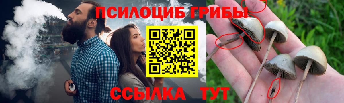 Псилоцибиновые грибы прущие грибы Рыбинск